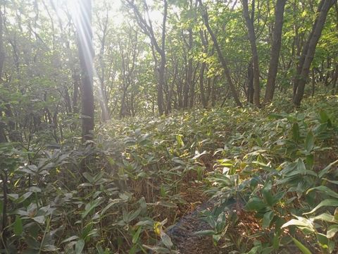 IMG_20230602_165614101_MFNR.jpg