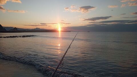 IMG_20241103_062335508_MFNR.jpg