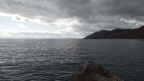IMG_20241103_123738740_MFNR.jpg