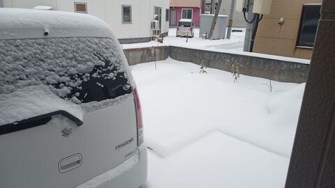 IMG_20241119_095801588_MFNR.jpg