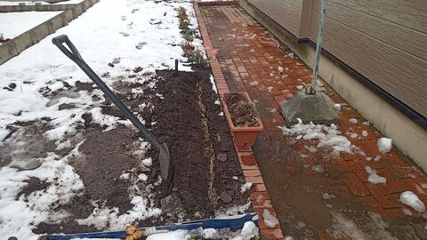 IMG_20241120_131301164_MFNR.jpg