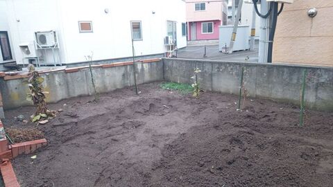 IMG_20241127_152551566_MFNR.jpg