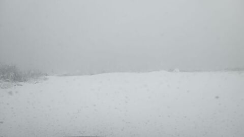 IMG_20241215_112929328_MFNR.jpg