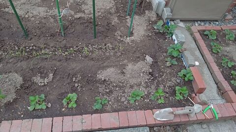 IMG_20250509_172351273_MFNR.jpg